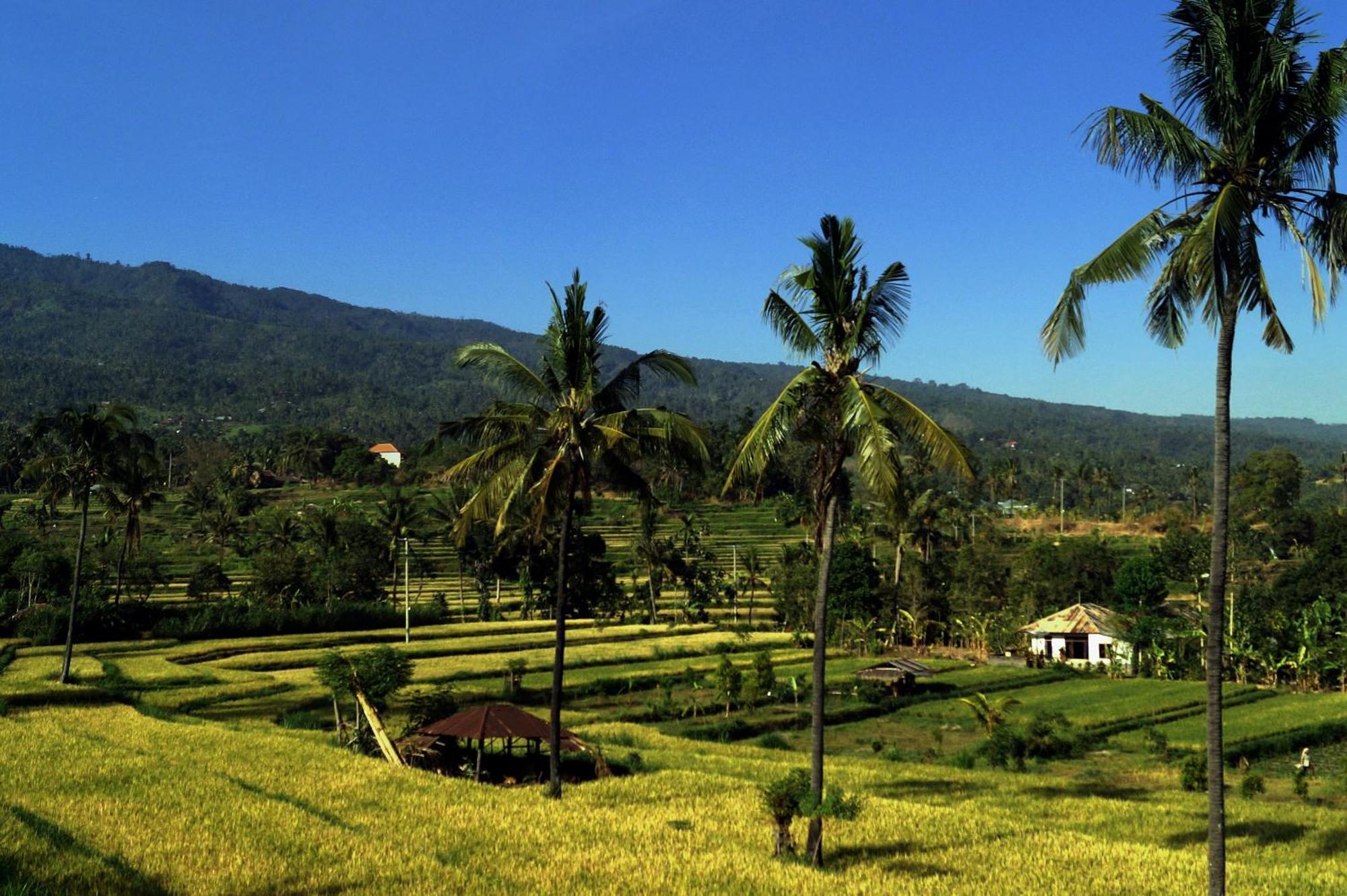 Lafyu Bali Singaraja Exterior foto