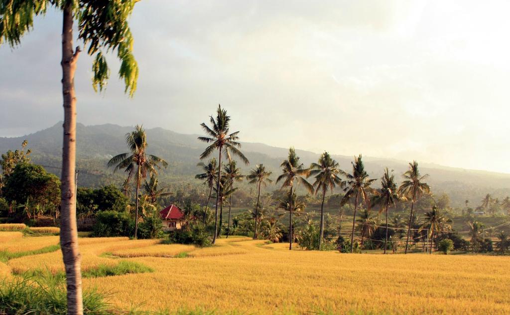 Lafyu Bali Singaraja Exterior foto