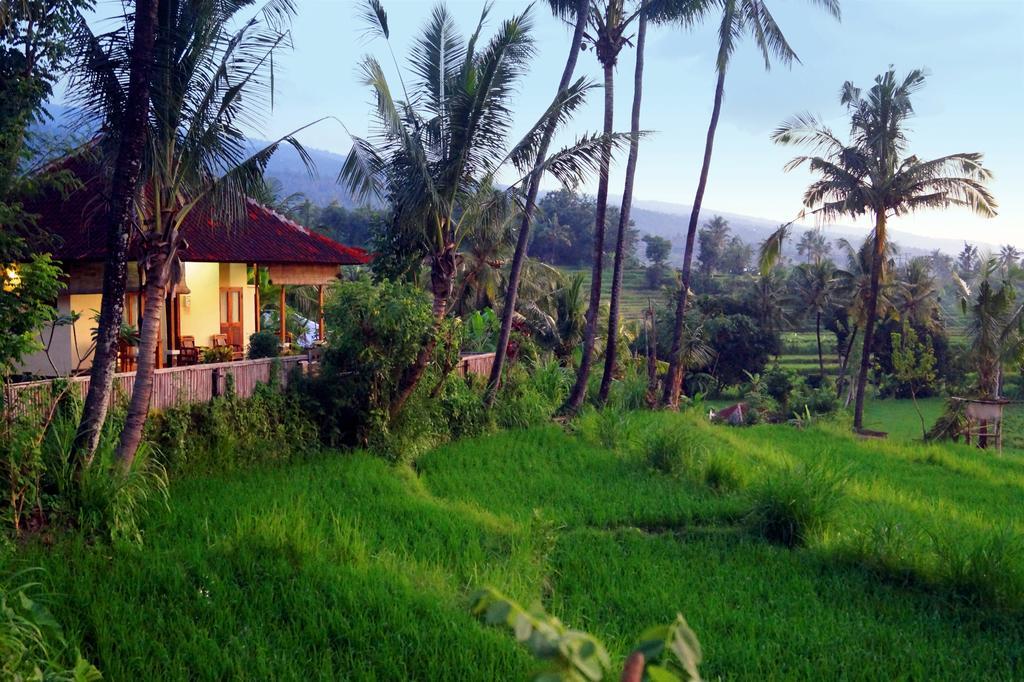 Lafyu Bali Singaraja Exterior foto