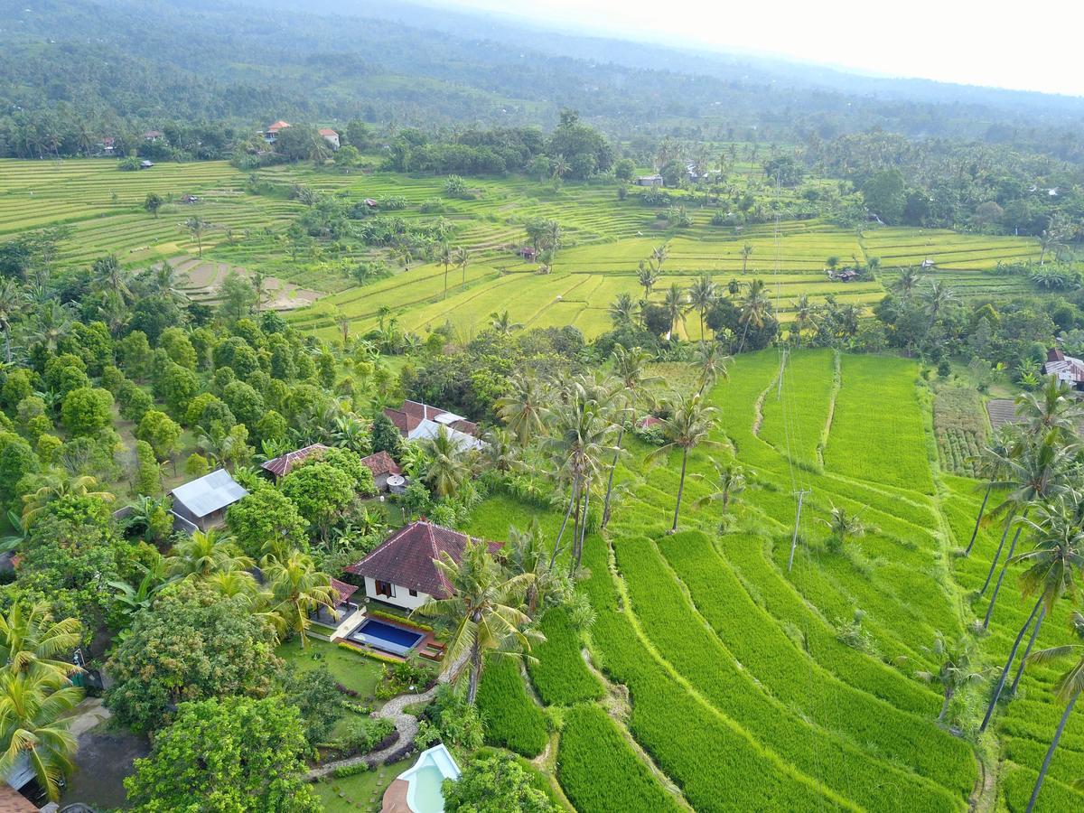 Lafyu Bali Singaraja Exterior foto