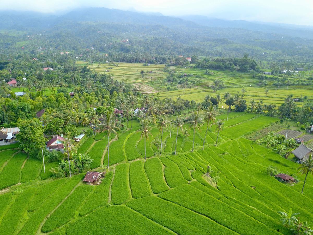 Lafyu Bali Singaraja Exterior foto